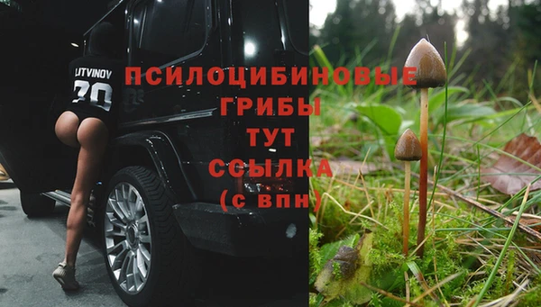 гашиш Бородино
