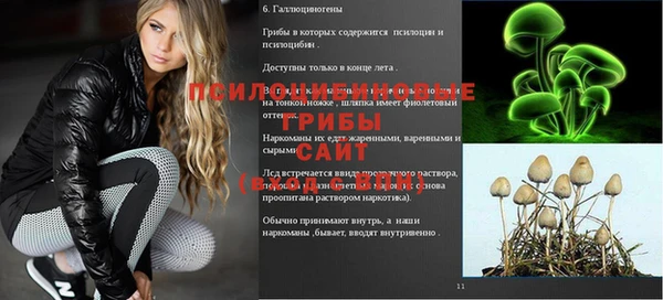 гашиш Бородино